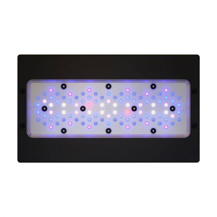 Radion LED Light XR30 BLUE G6 - EcoTech