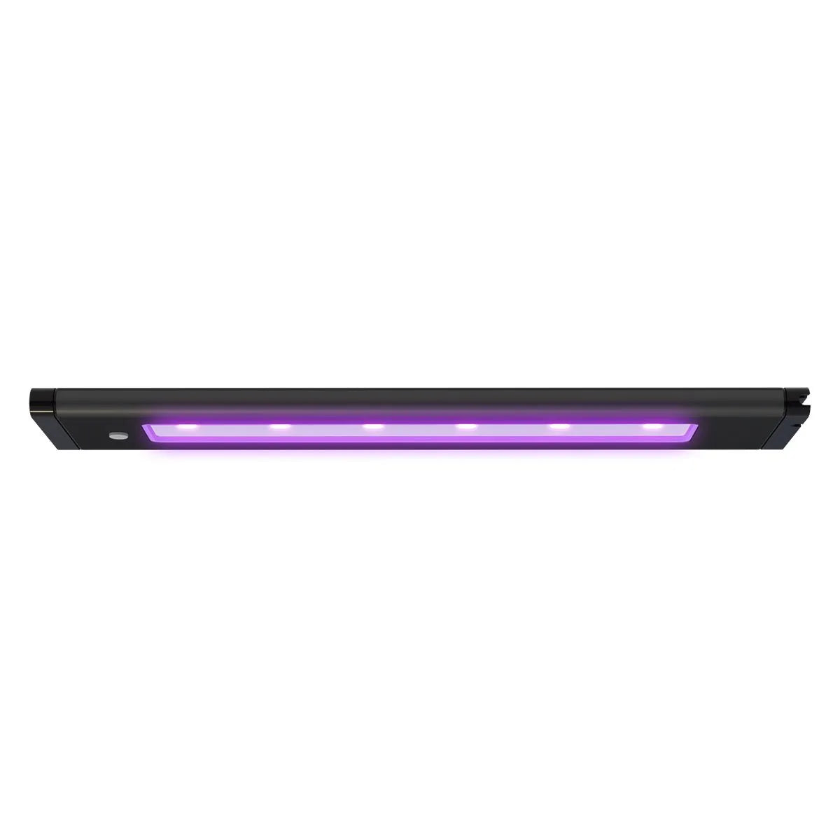 Light - LED Blade 12" GLOW