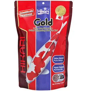 Koi Gold 17.6oz Medium Hikari